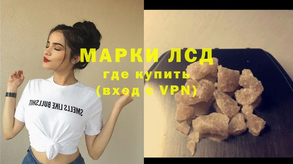стафф Арсеньев