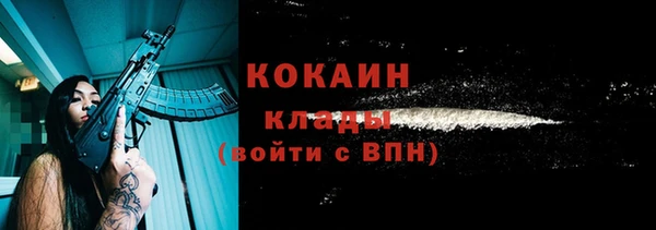 стафф Арсеньев