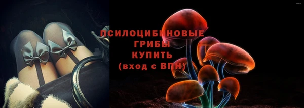 стафф Арсеньев
