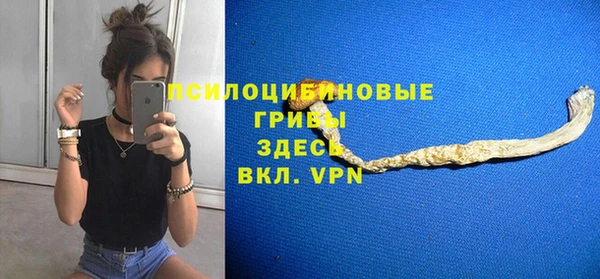 а пвп мука Аркадак