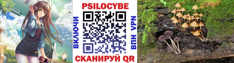 Псилоцибиновые грибы Cubensis Ступино